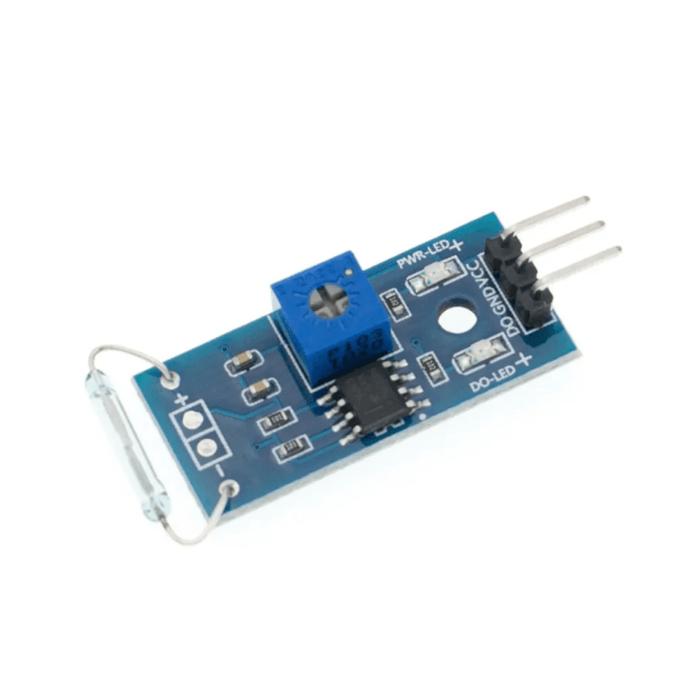 Module Détecteur magnétique ILS REED